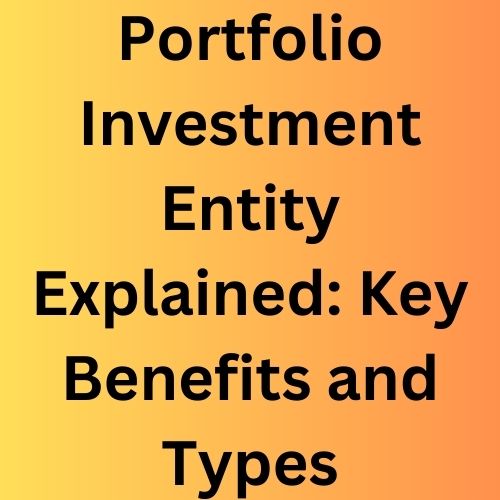 Portfolio Investment Entity Explained: Key Benefits and Types