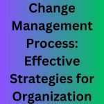 Change Management Process: Effective Strategies for Organization